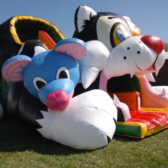 Featured · Inflatable VIV product photo