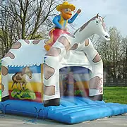 Roofed inflatable bouncy castle