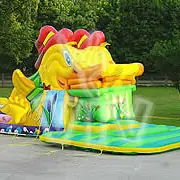 Themed inflatable slide with figure entrance