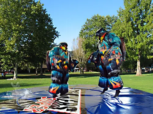Sumo Space Warrior competition inflatable product photo
