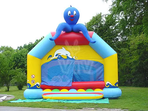 Octopus dry pool dry pools inflatable product photo