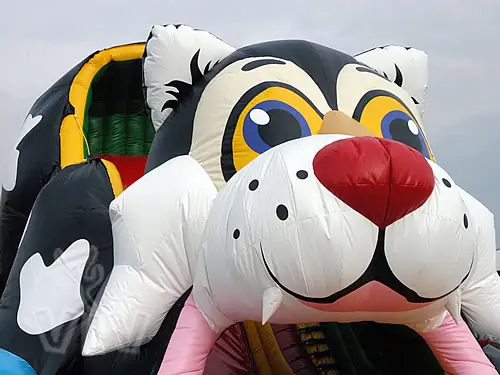 Cat-shaped inflatable slide