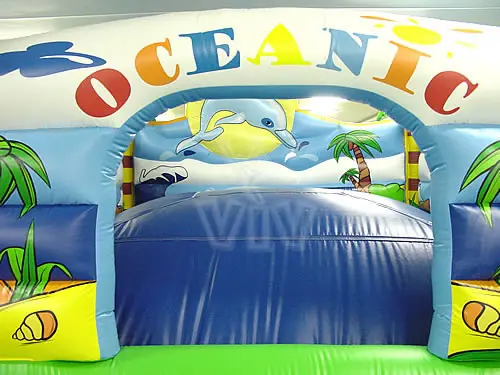 Oceanic Playground specials inflatable product photo