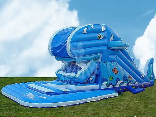 Whale swallower inflatable slide