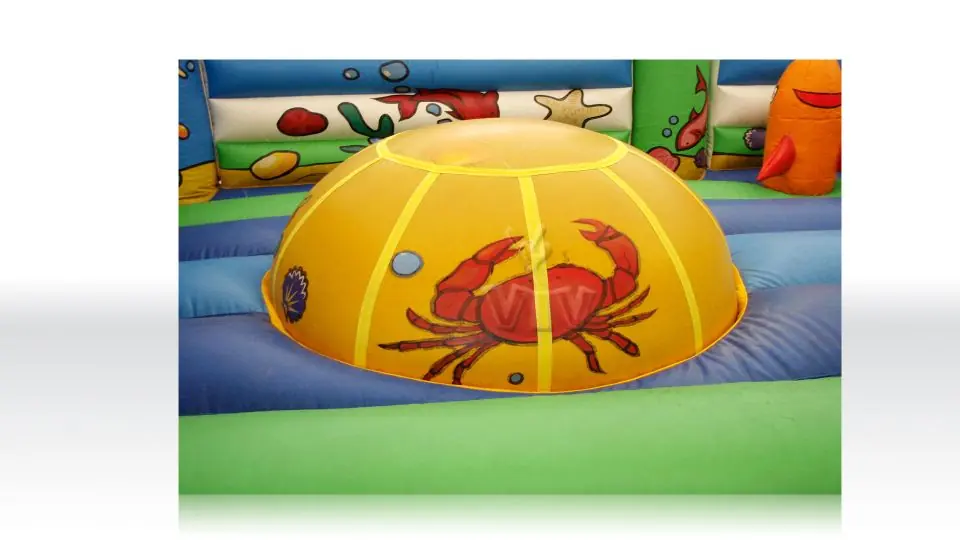 Active Center Ocean commercial inflatable active center