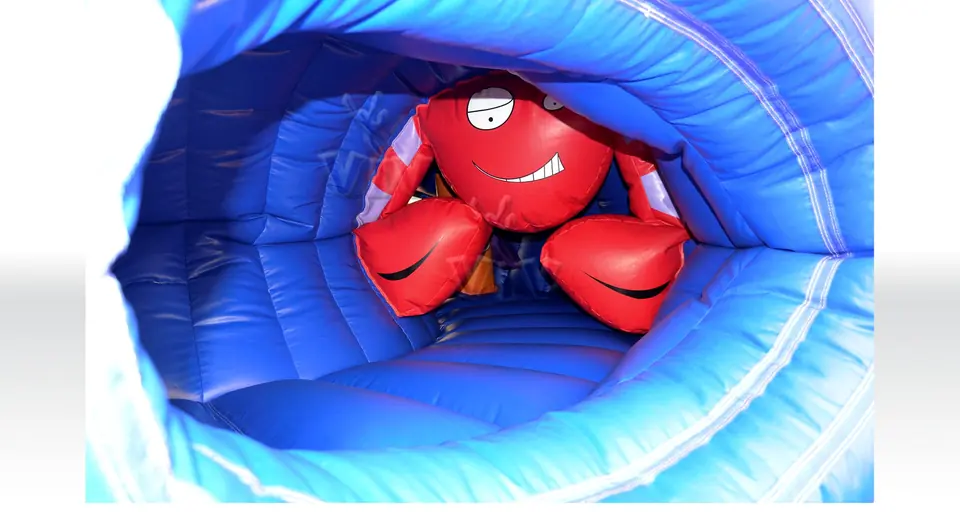 Sea bug (with print on internal figures) commercial inflatable active center