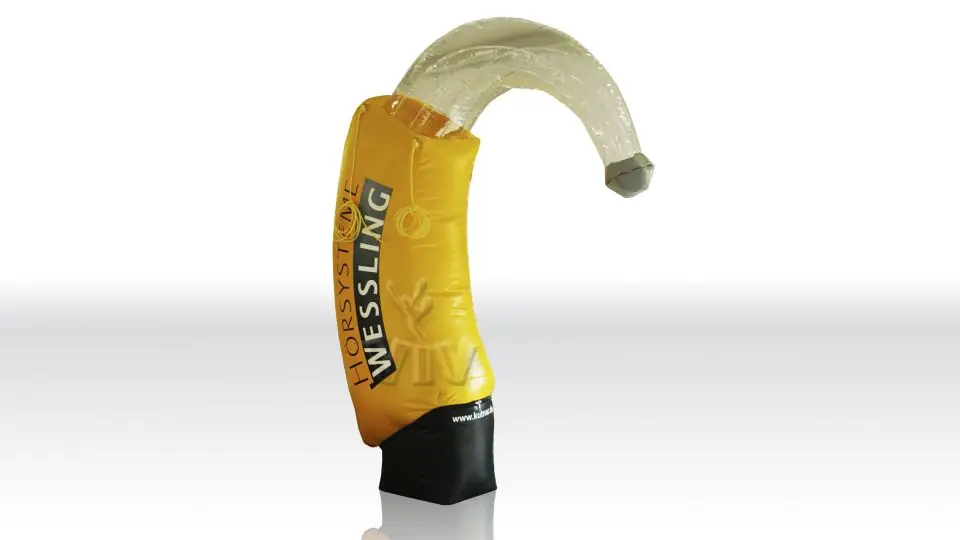 Hearing Aid 2.5 m commercial custom inflatable