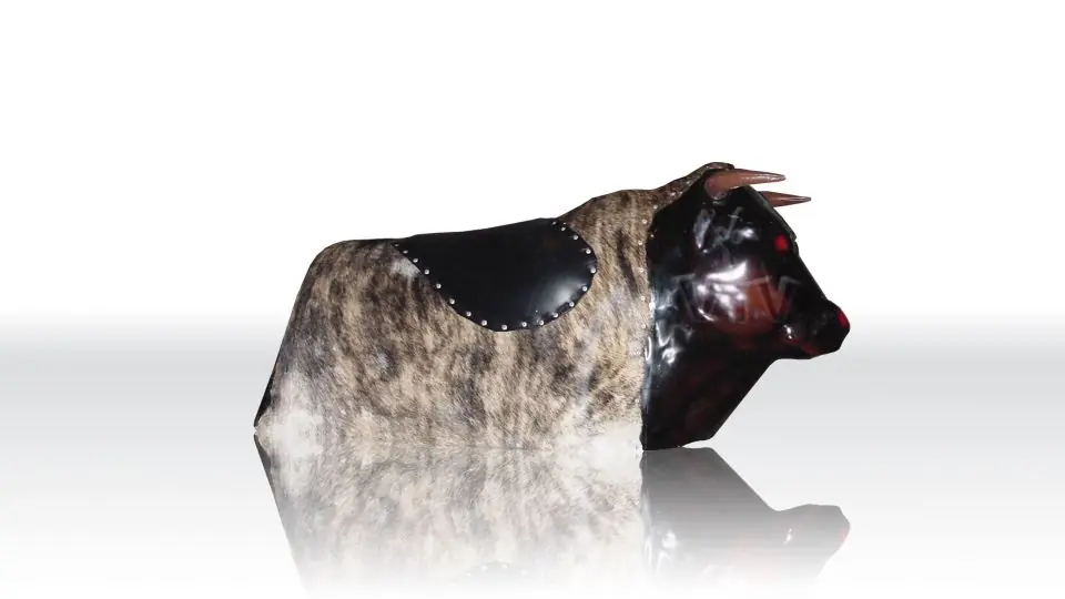 Rodeo Classic SET (with bull figure) commercial mechanical rodeo attraction