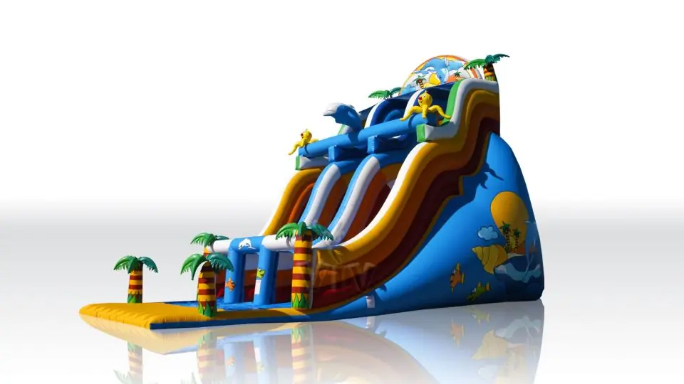 Dolphin Giant Professional commercial inflatable slide