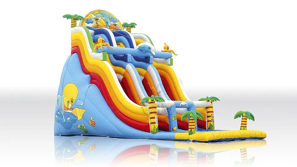 Dolphin Giant Professional commercial inflatable slide