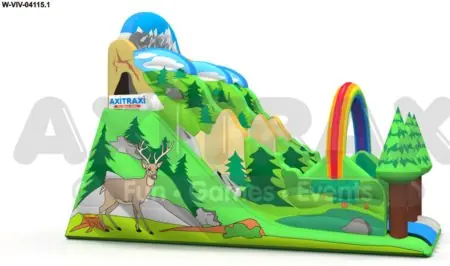 Forest STANDARD Professional without a climbing partition commercial inflatable slide