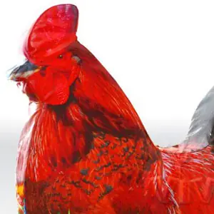 Rooster 2 foam soft play character for dry indoor play areas