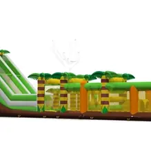 Active Center Frog with Slide inflatable product