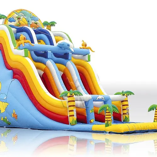 Dolphin Giant Professional commercial inflatable slide