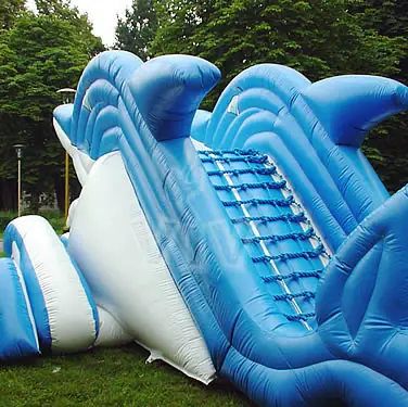 Dolphin-shaped inflatable slide