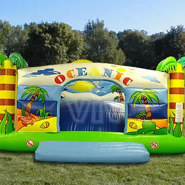 Oceanic Playground specials inflatable product photo