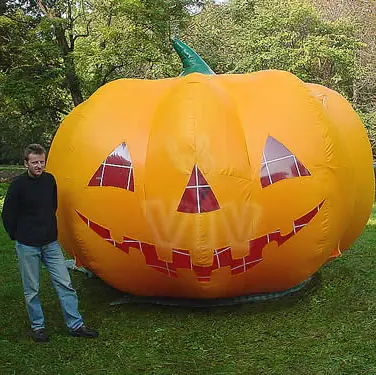 Pumpkin promotional inflatable product photo