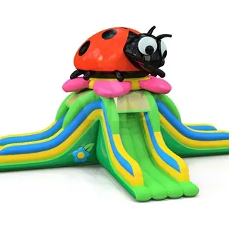 Ladybird commercial inflatable slide