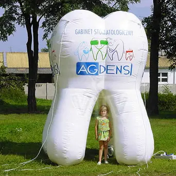 Tooth promotional inflatable product photo