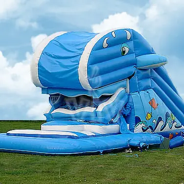Whale swallower inflatable slide